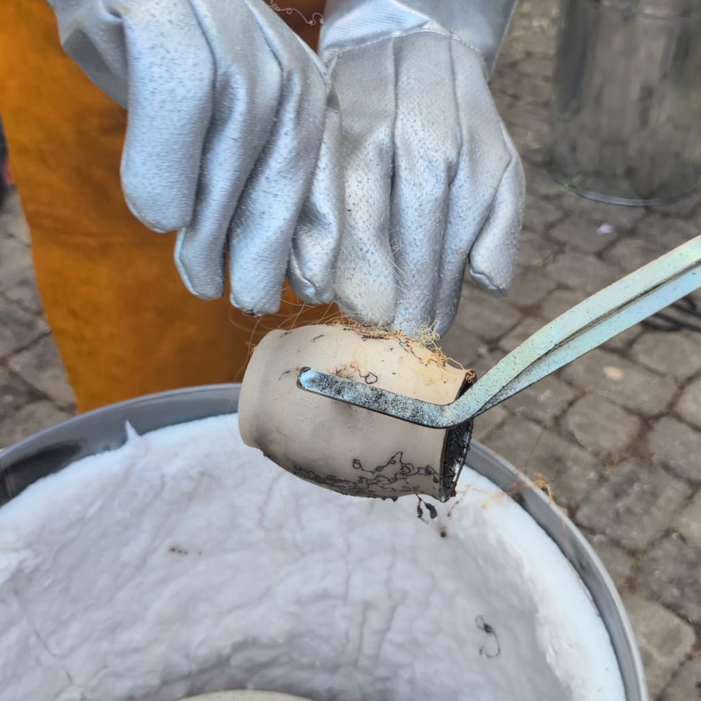 Raku Workshop (4 hrs)
